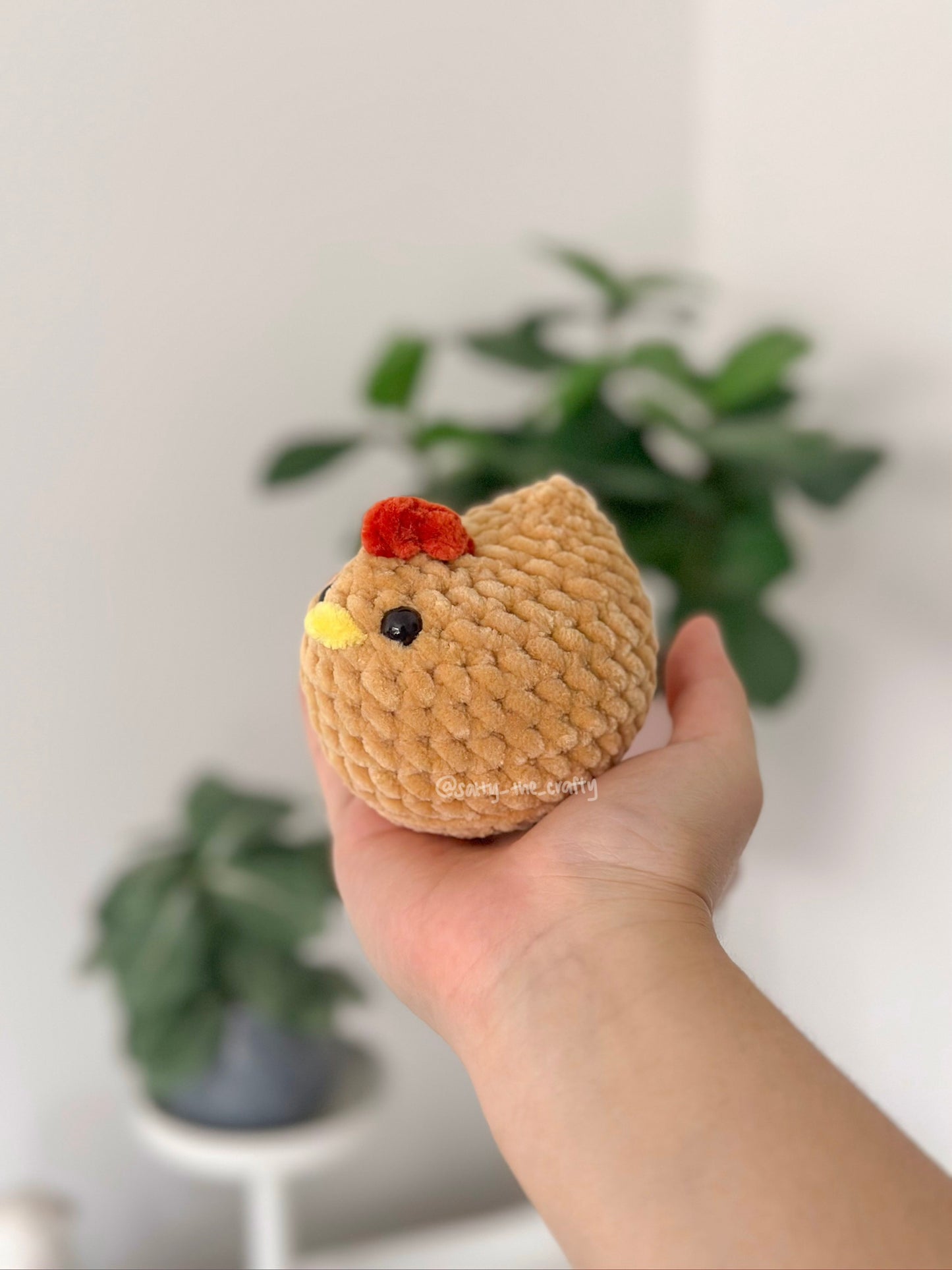 mabel chicken