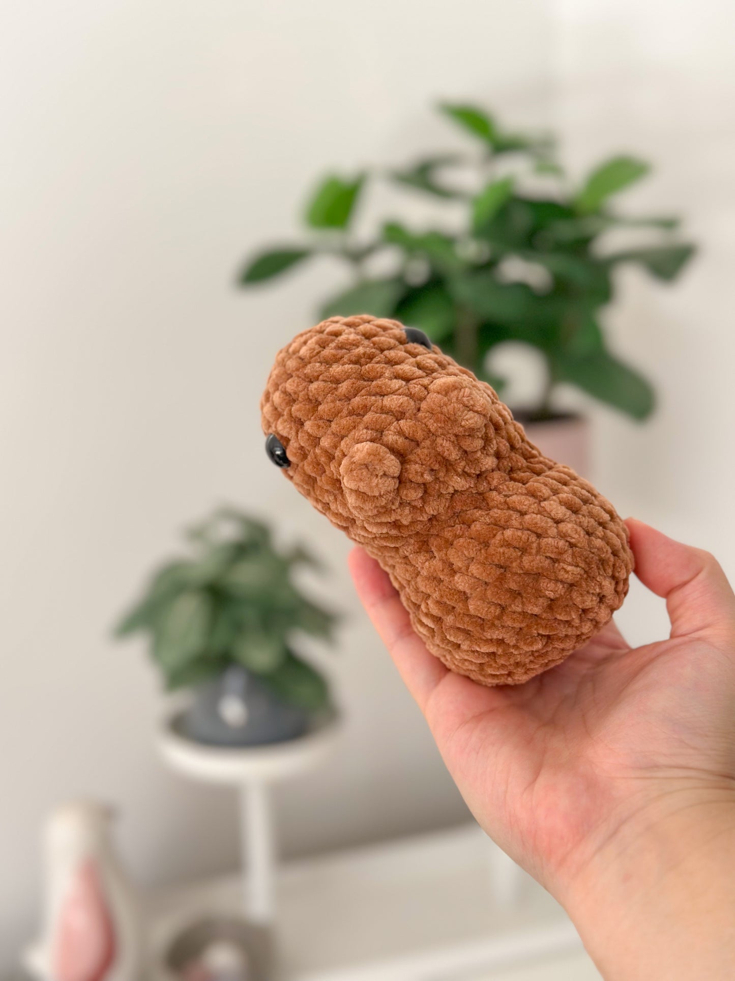 baby capybara