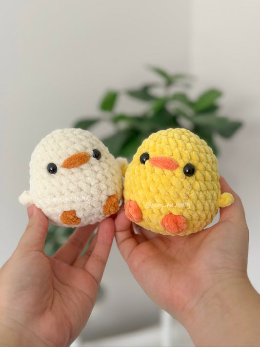 birds