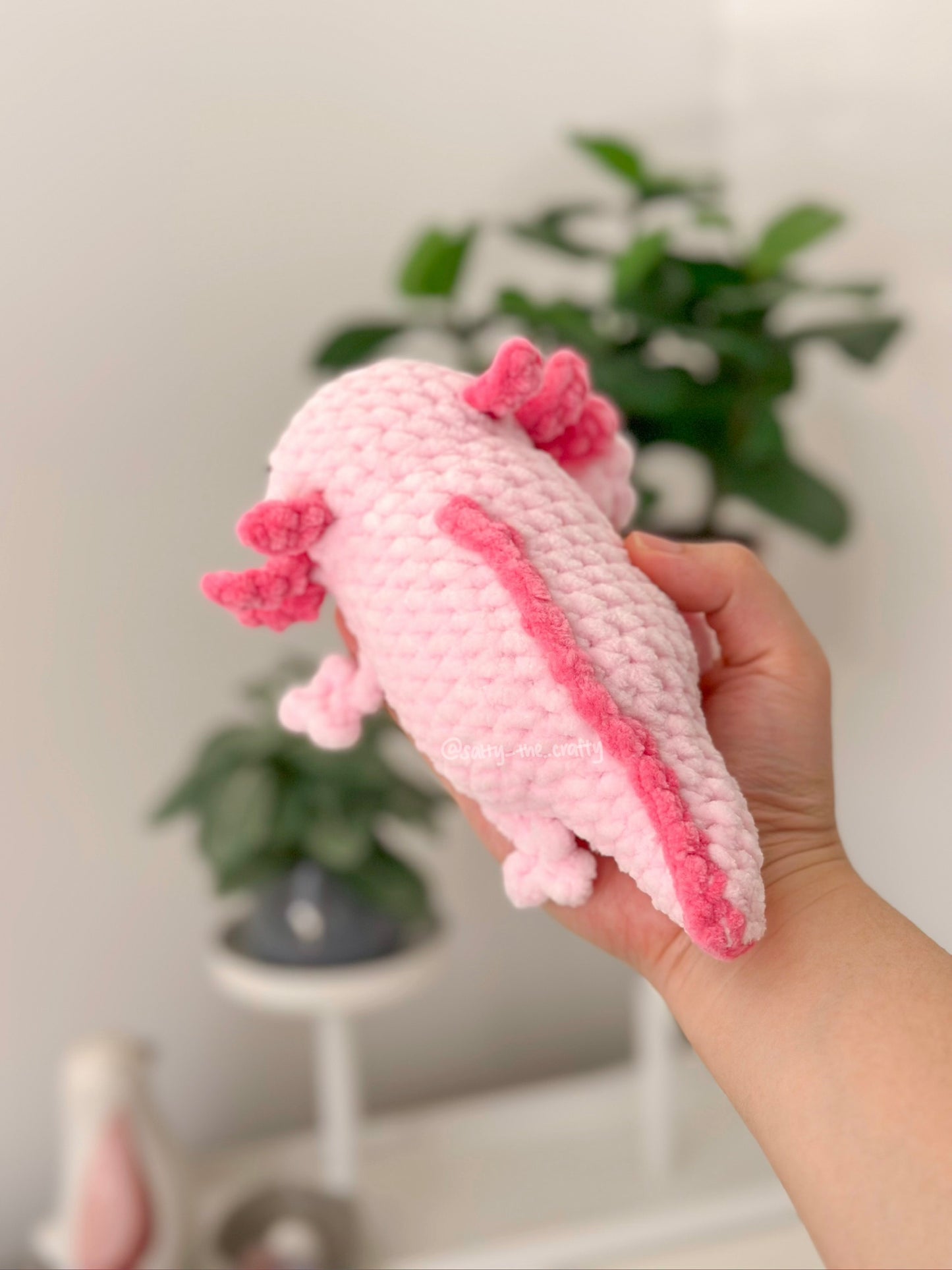 axolotl