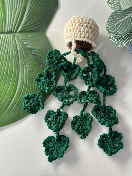 monstera