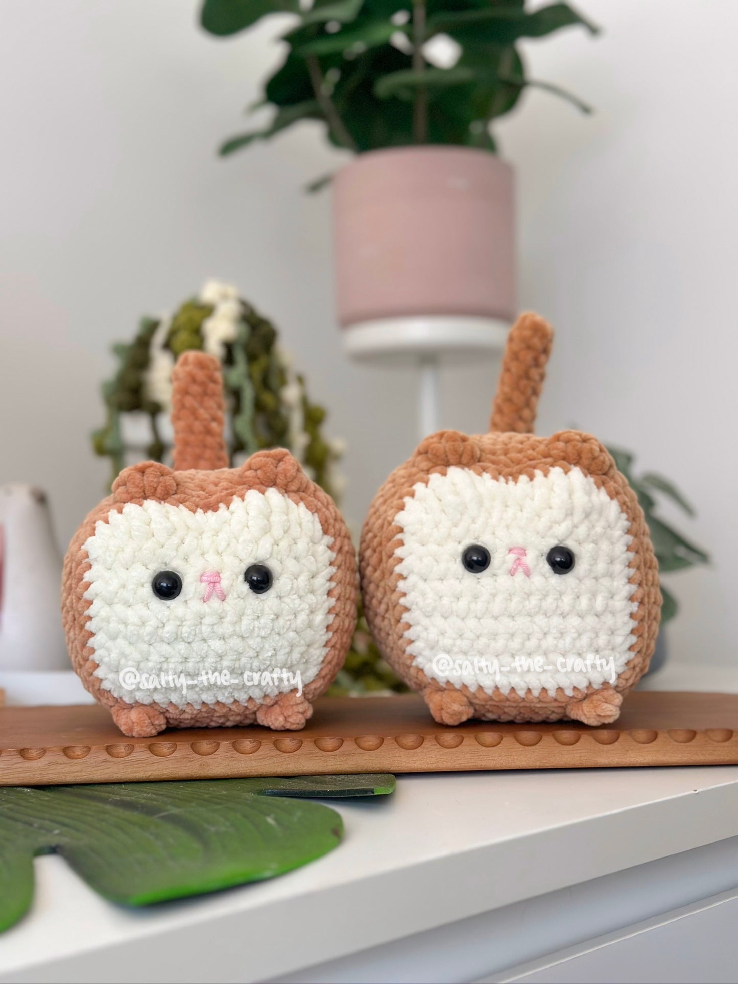 bread cat/loaf cat (made to order)