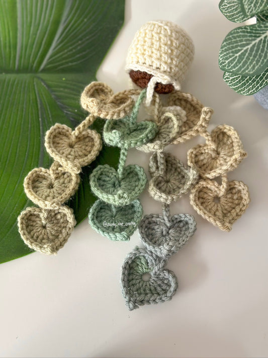 variegated pothos