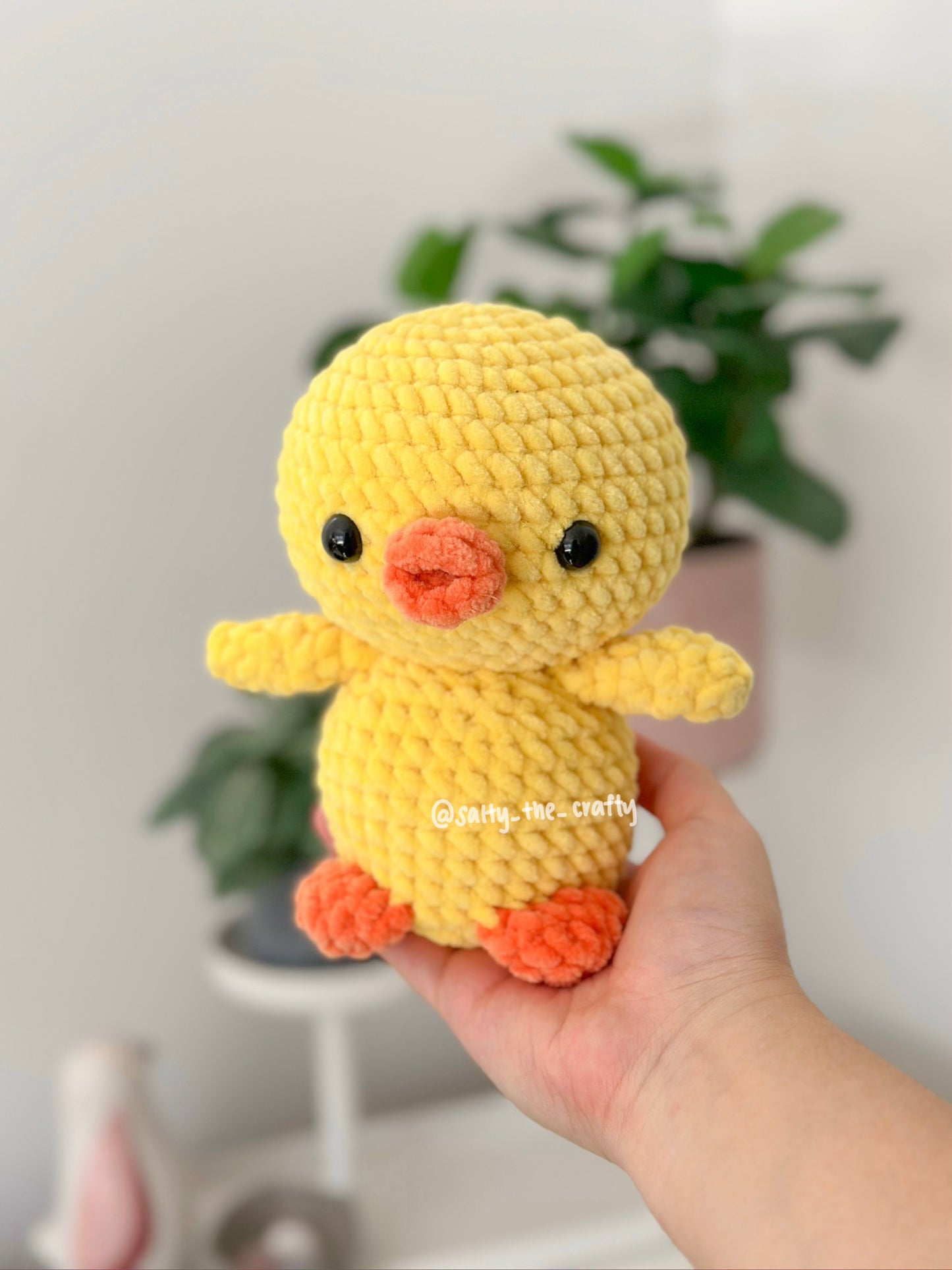 duck with floaty