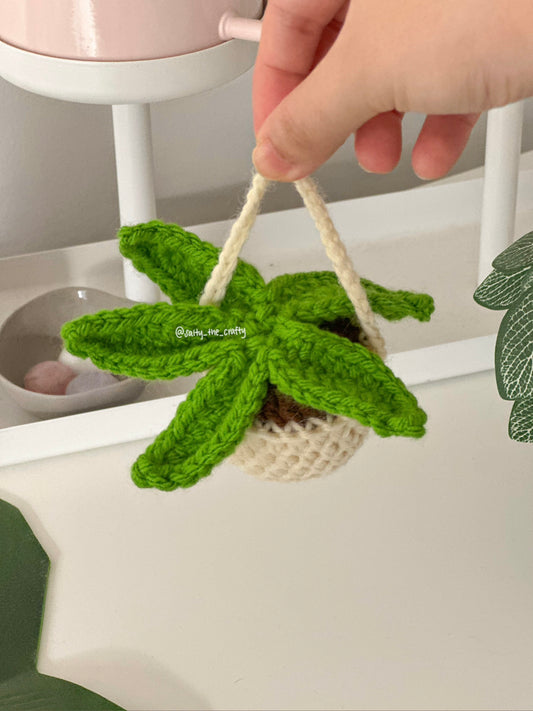 star shaped plant