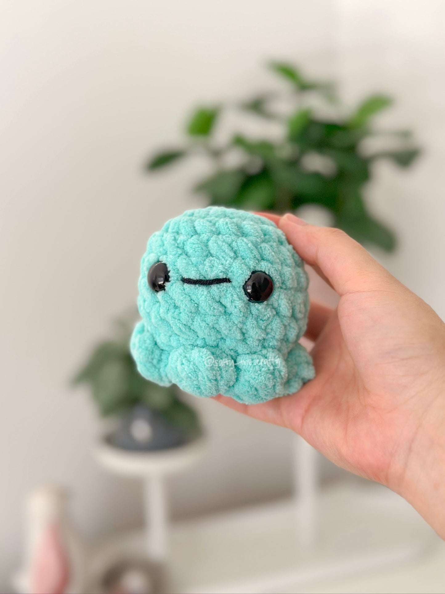 octopus