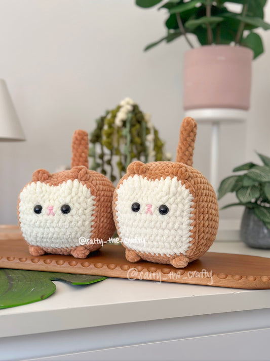 bread cat/loaf cat (made to order)
