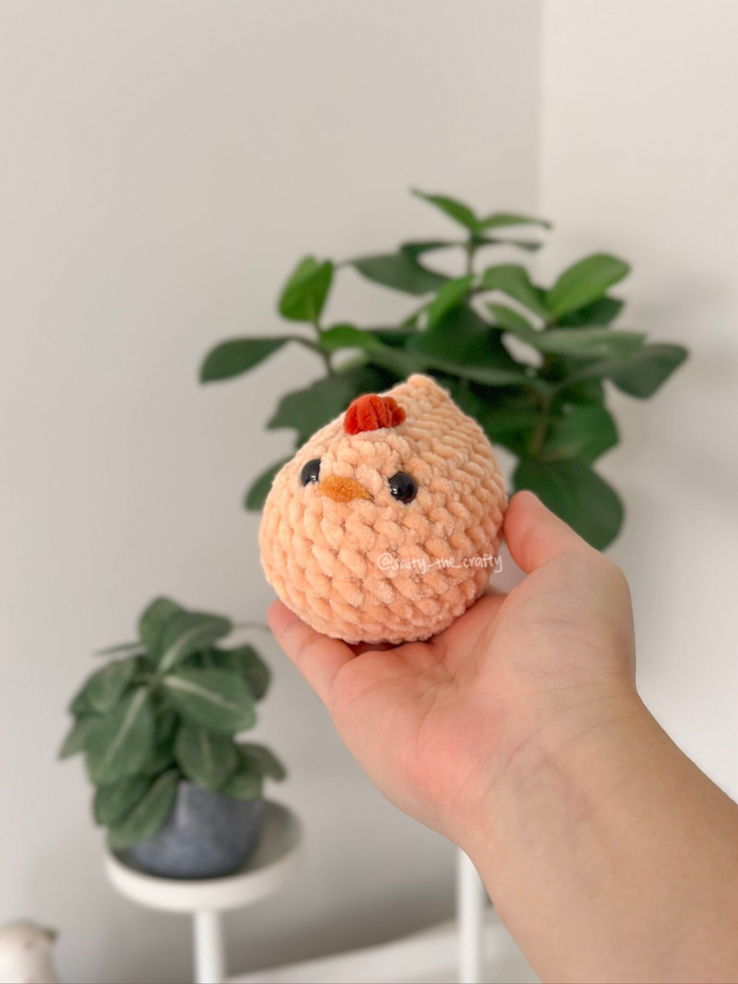 mabel chicken