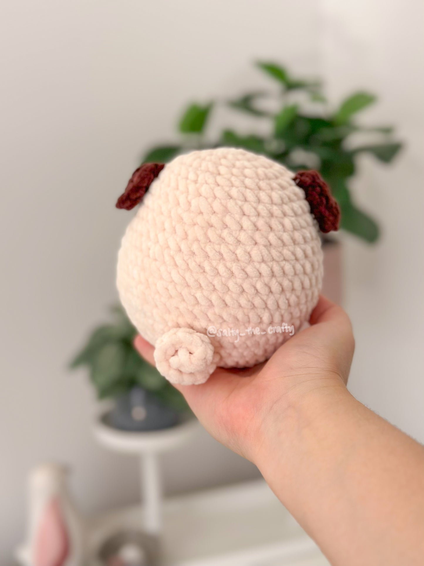 dog balls