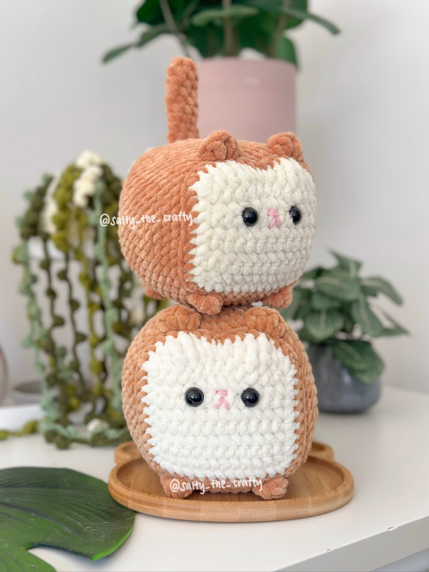 bread cat/loaf cat (made to order)