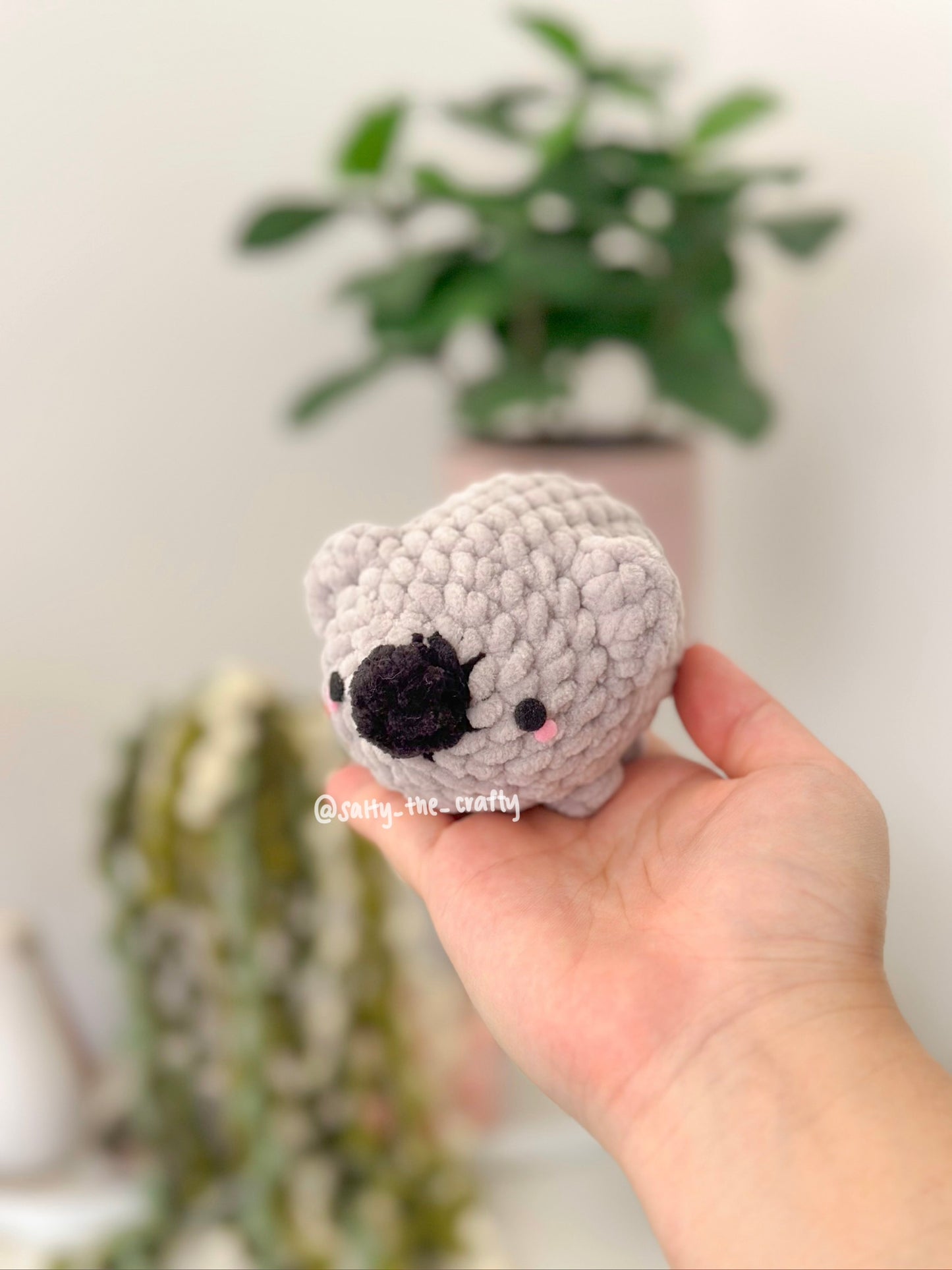 koala floofball