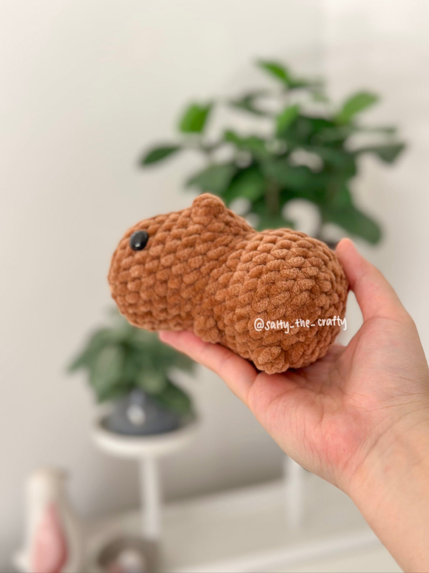 baby capybara