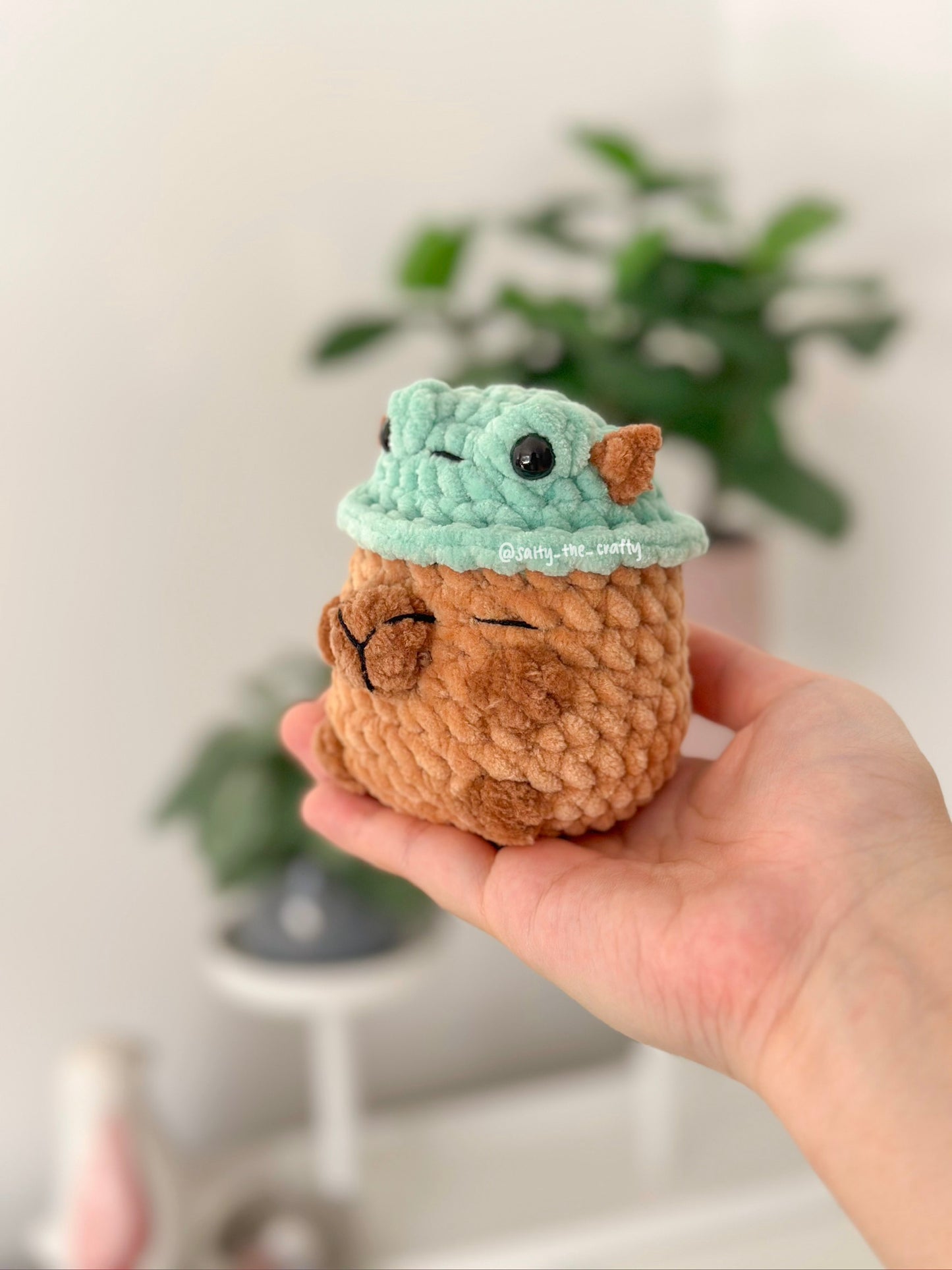 sitting capybara (duck hat)