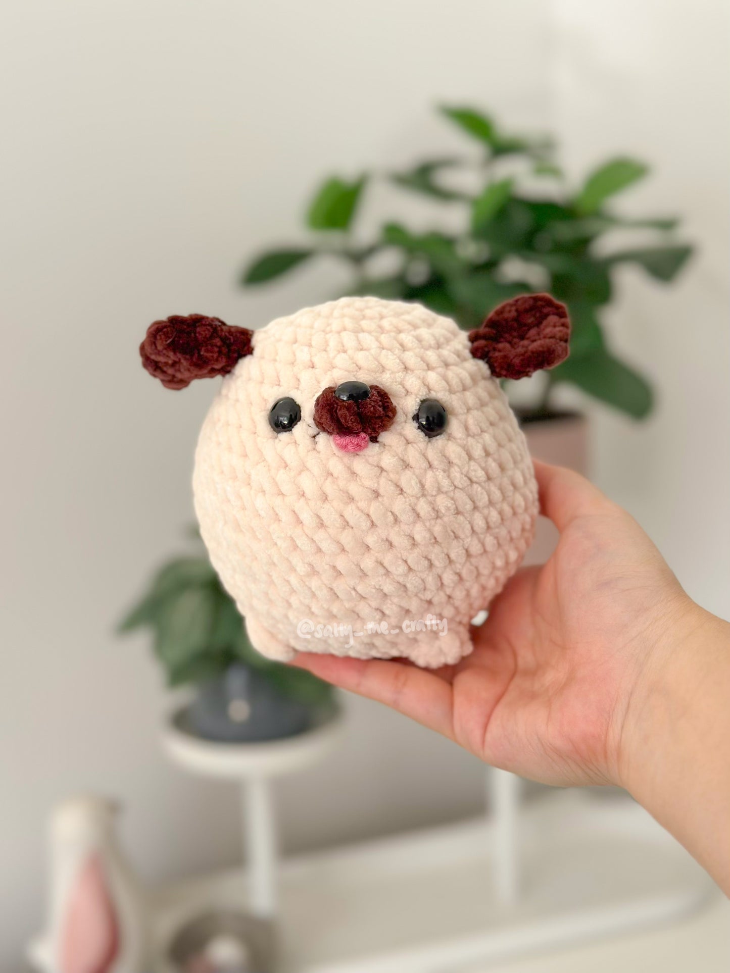 dog balls