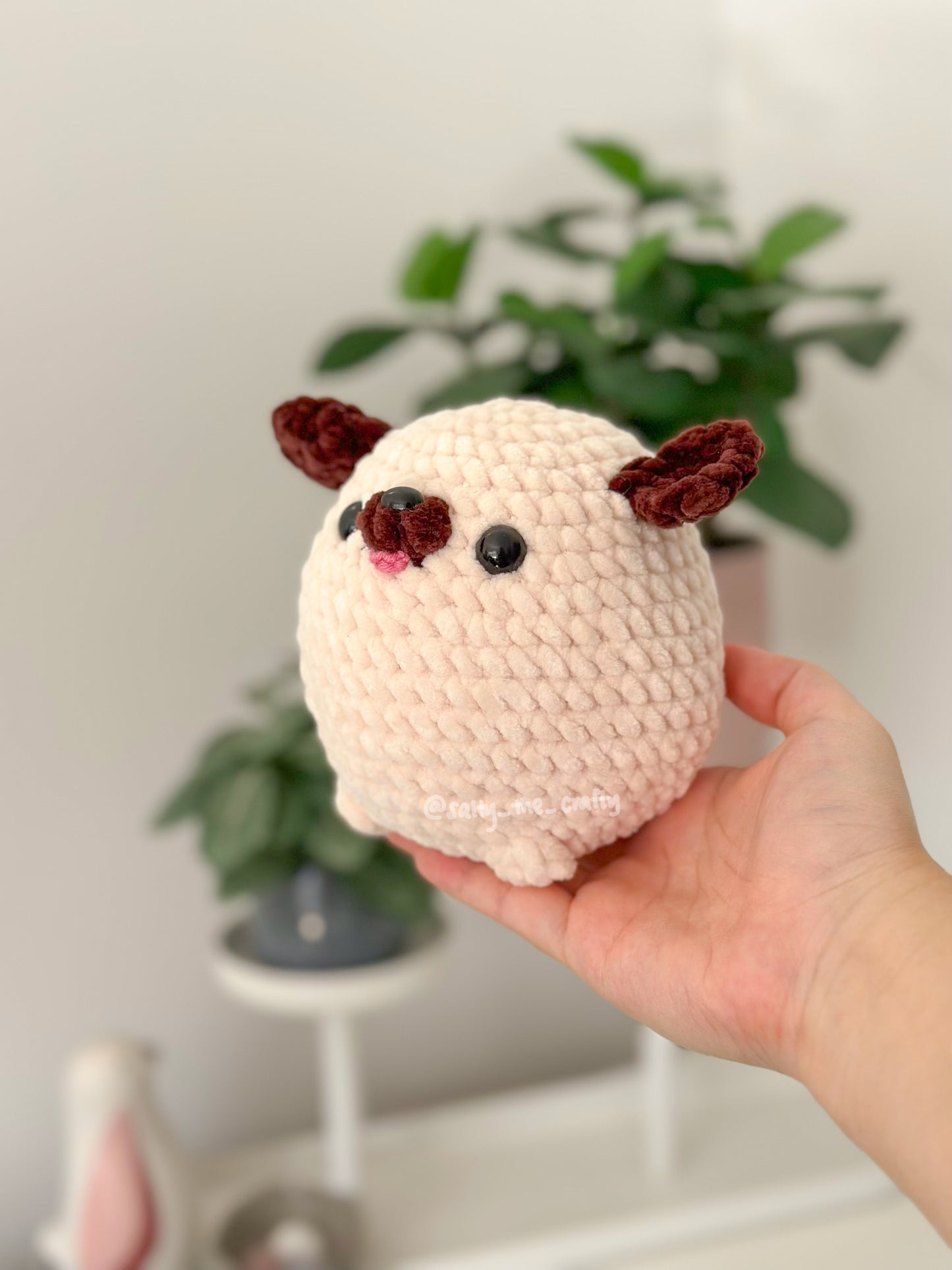 dog balls