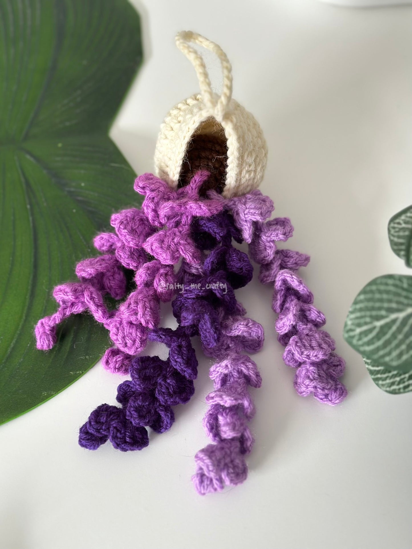 wisteria