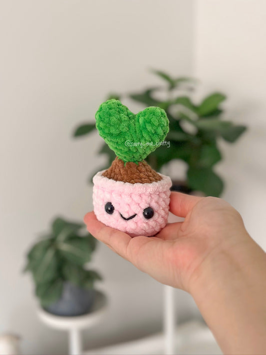 heart popping plant