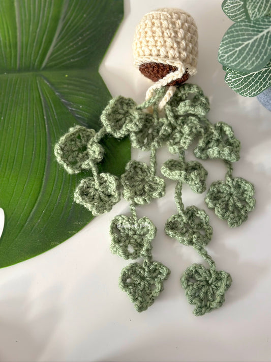 monstera