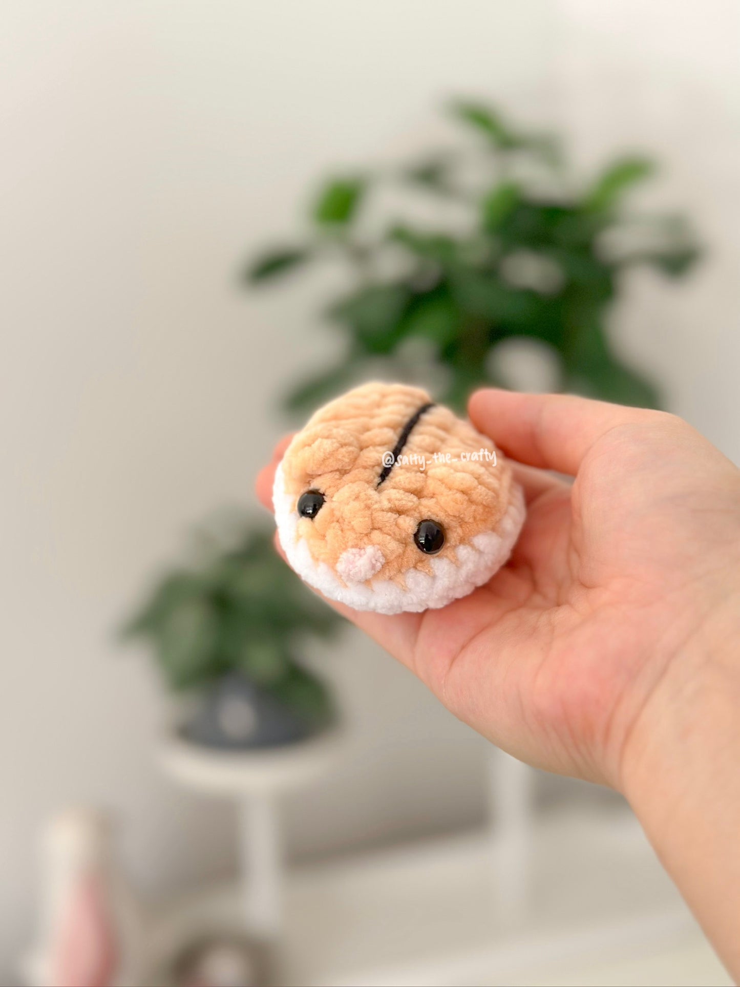 pancake hamster