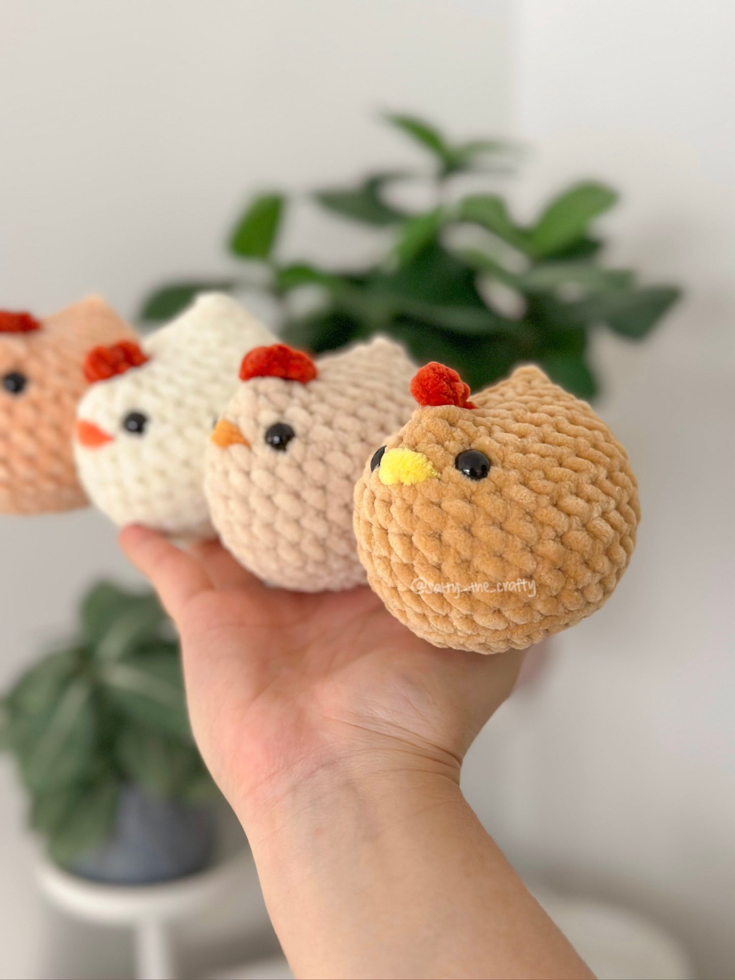 mabel chicken