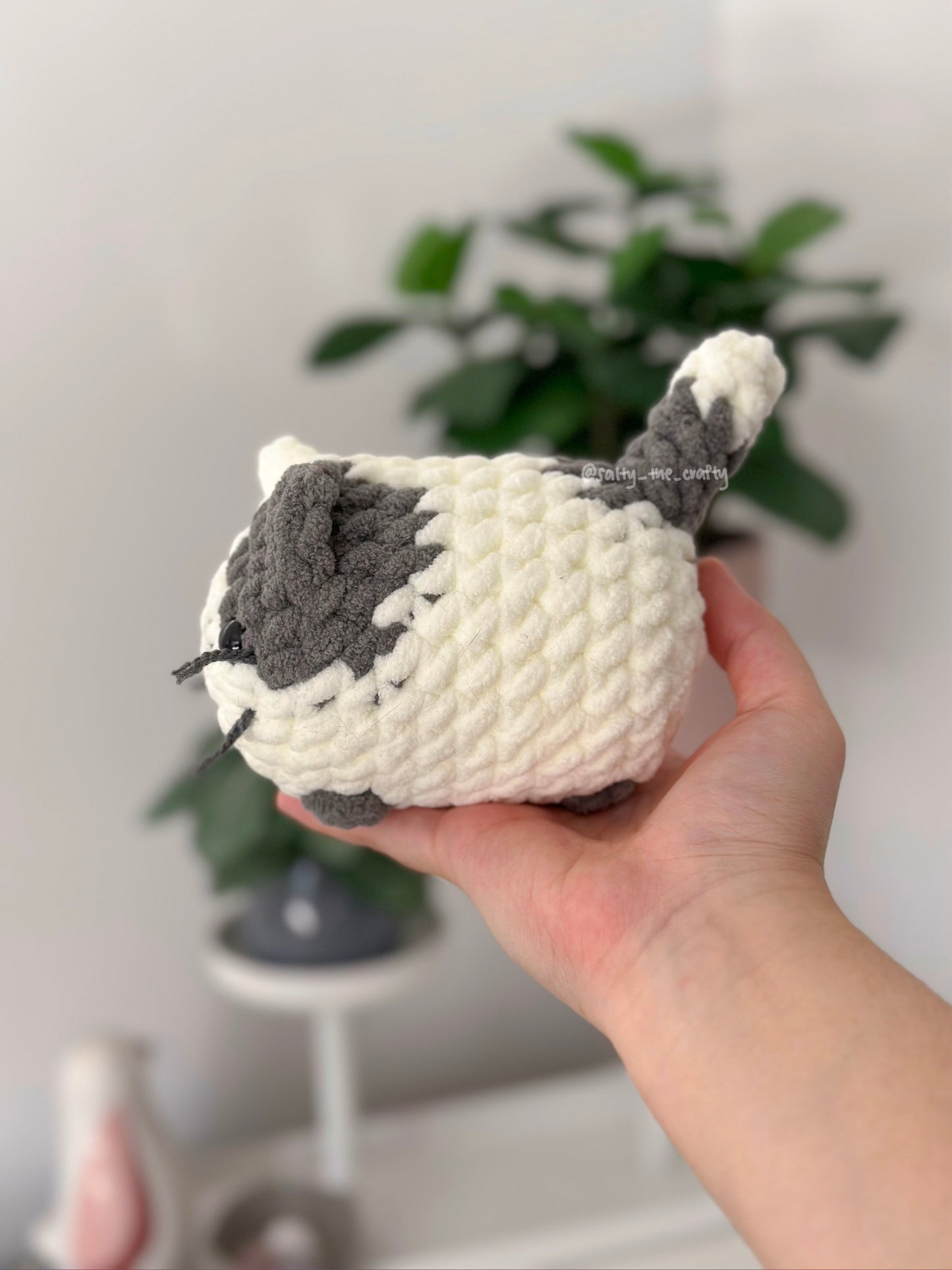 loaf kitten