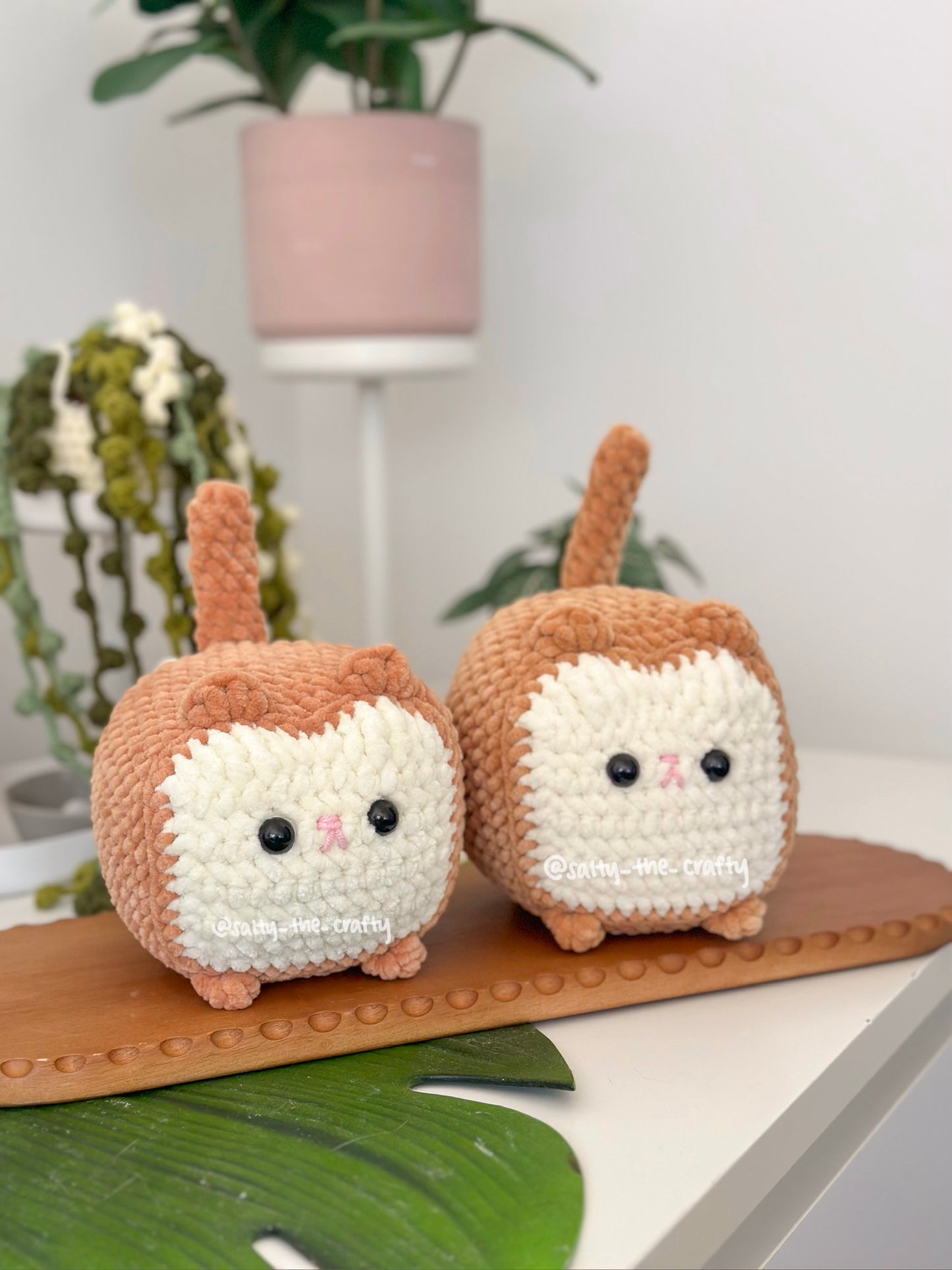 bread cat/loaf cat (made to order)