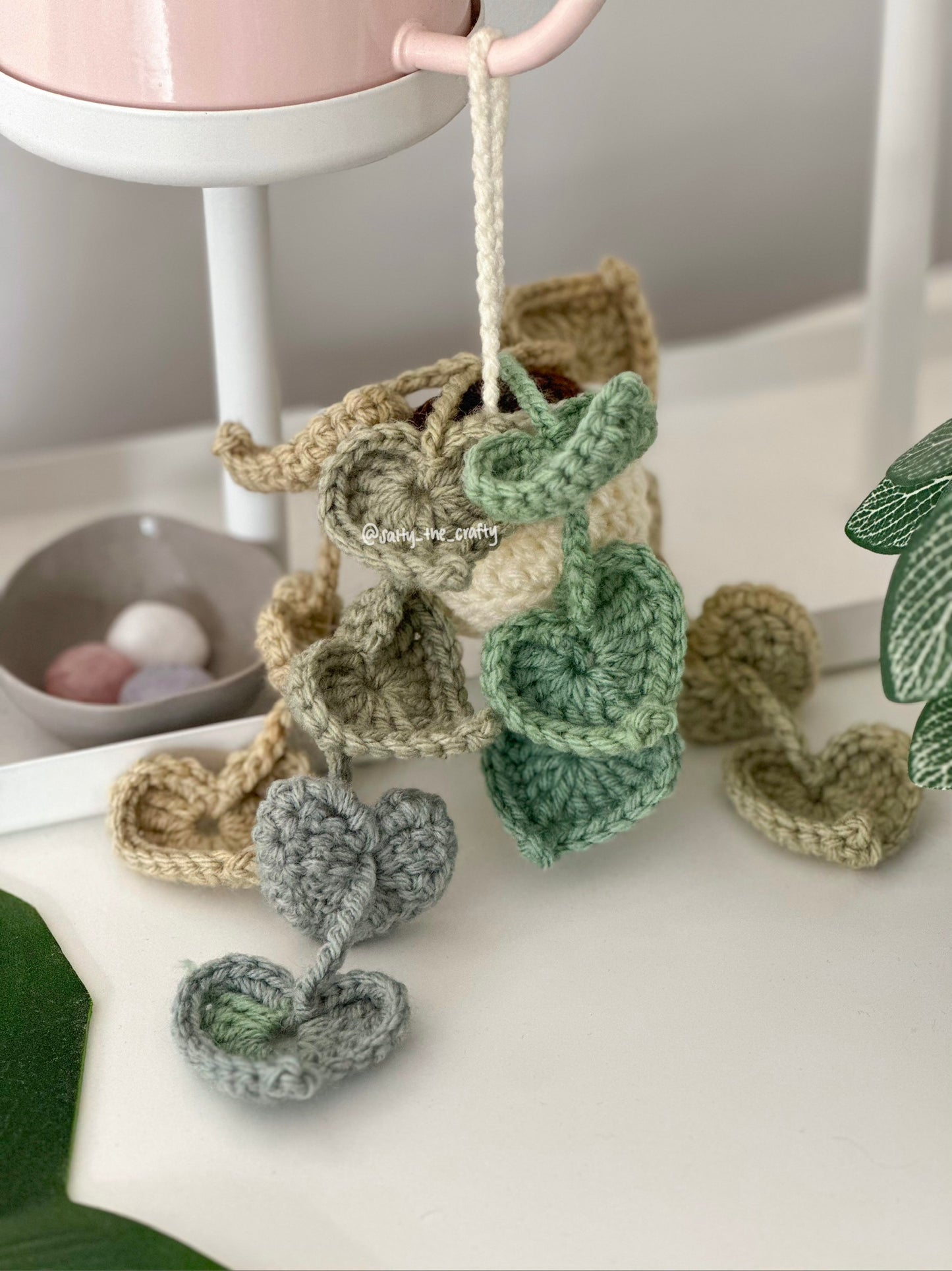 variegated pothos
