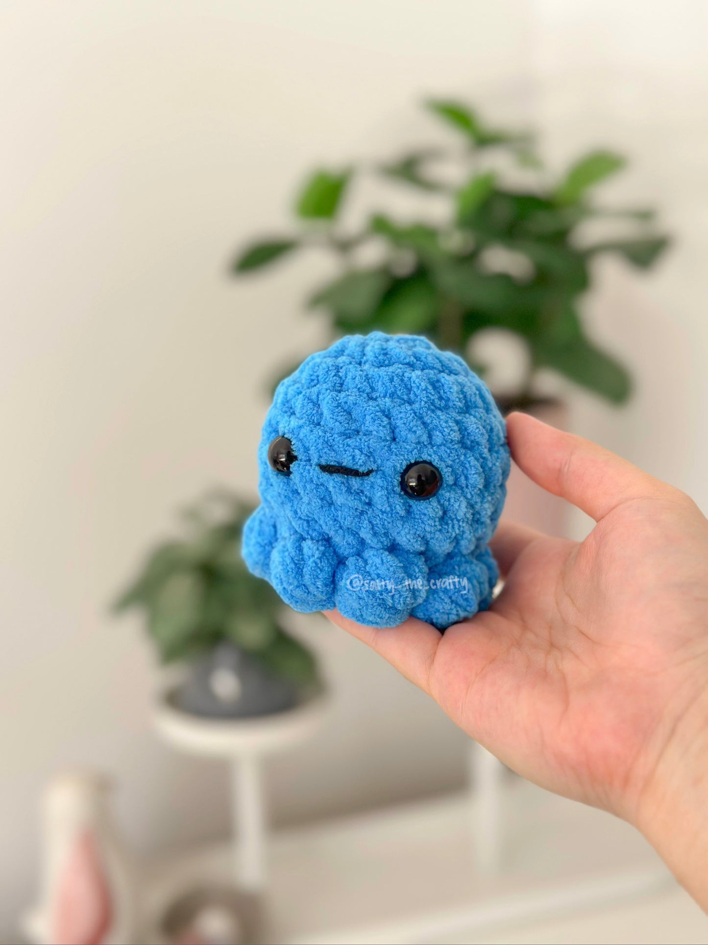 octopus