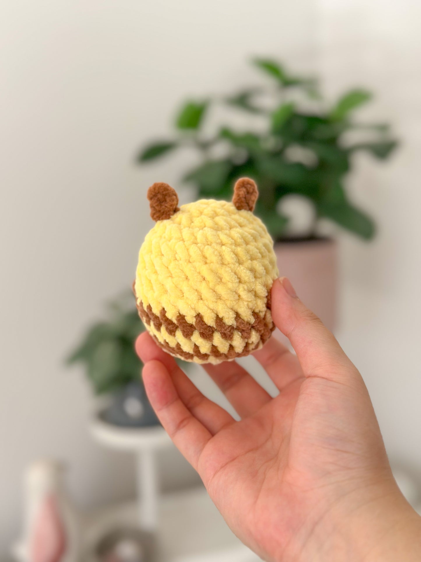 sitting bee