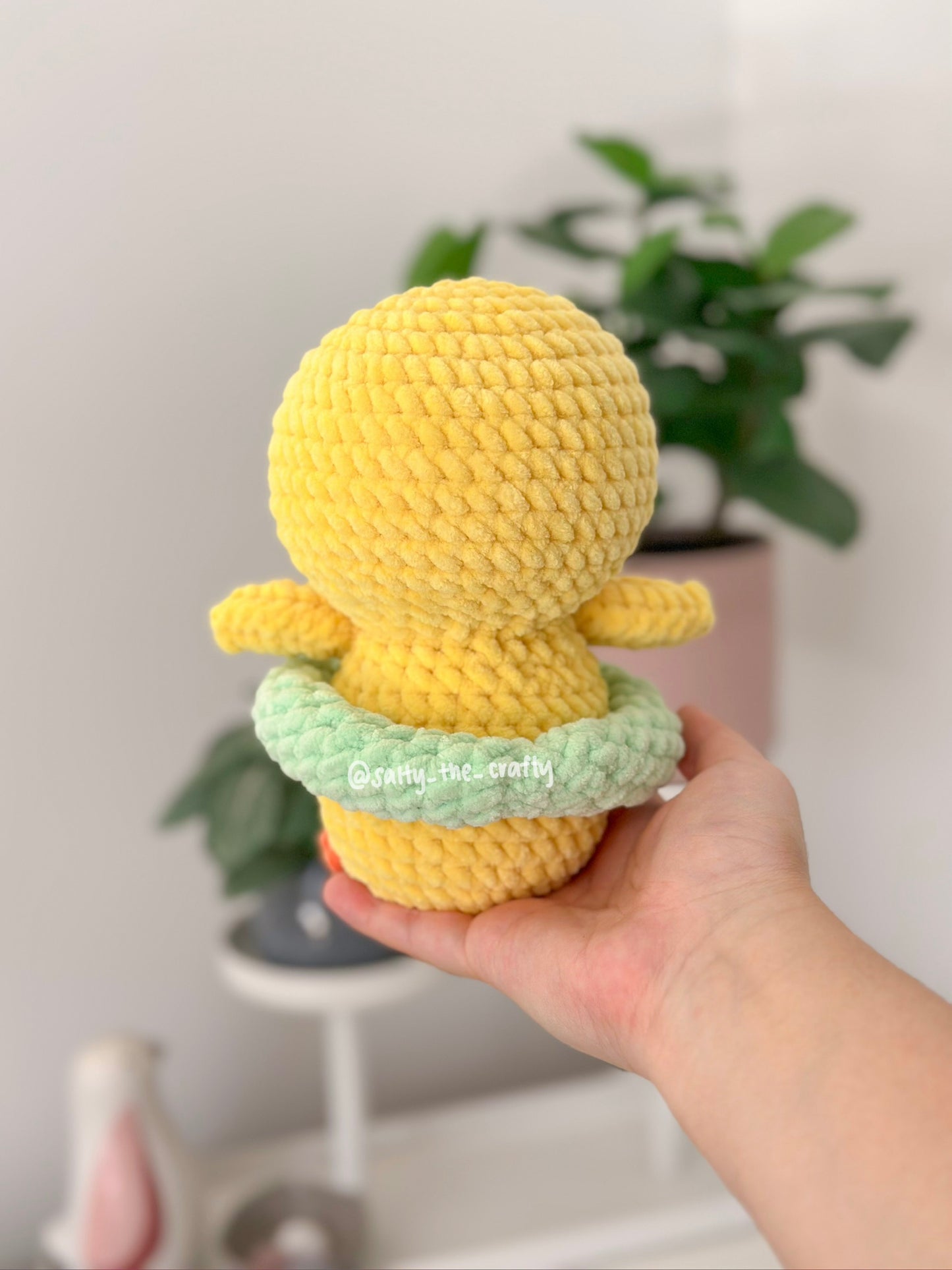 duck with floaty