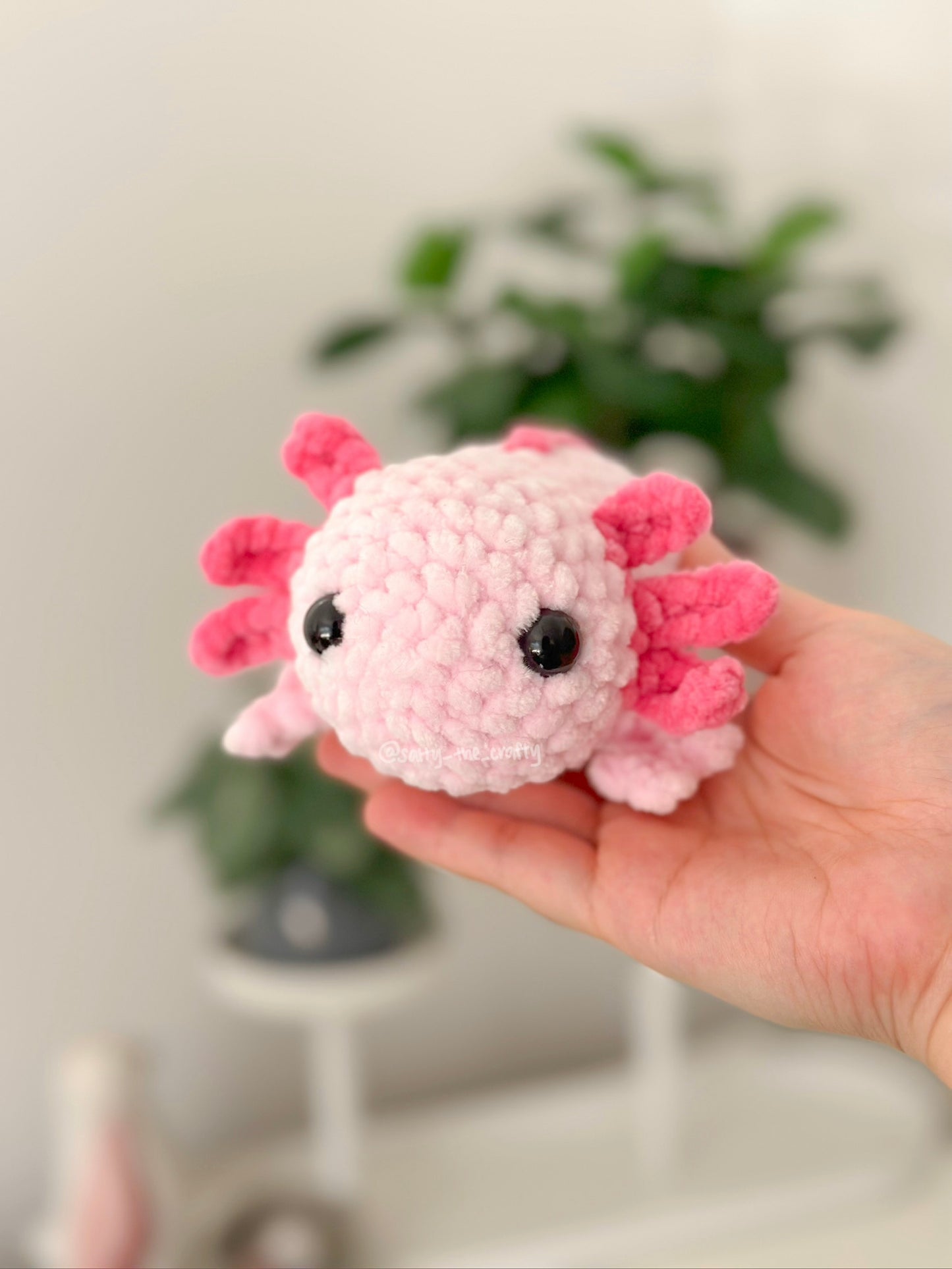 axolotl