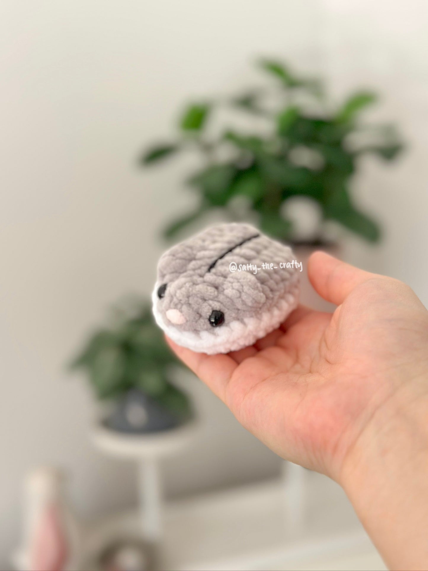 pancake hamster