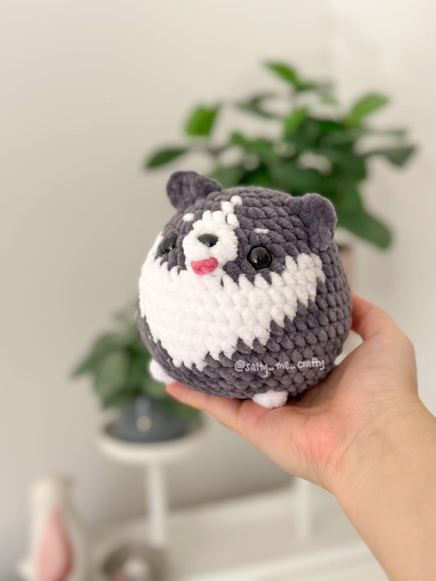 dog balls