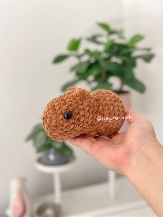 baby capybara