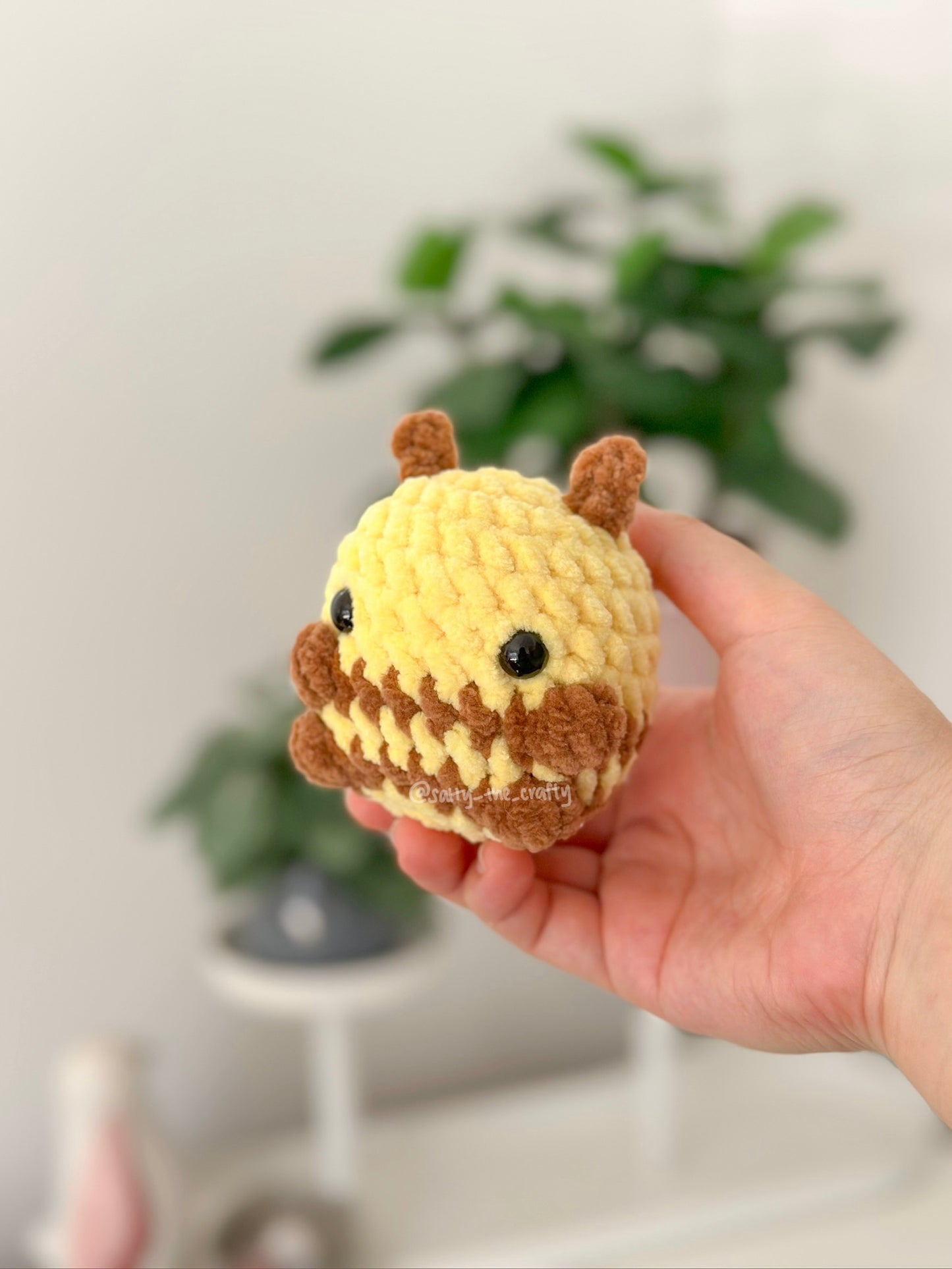 sitting bee
