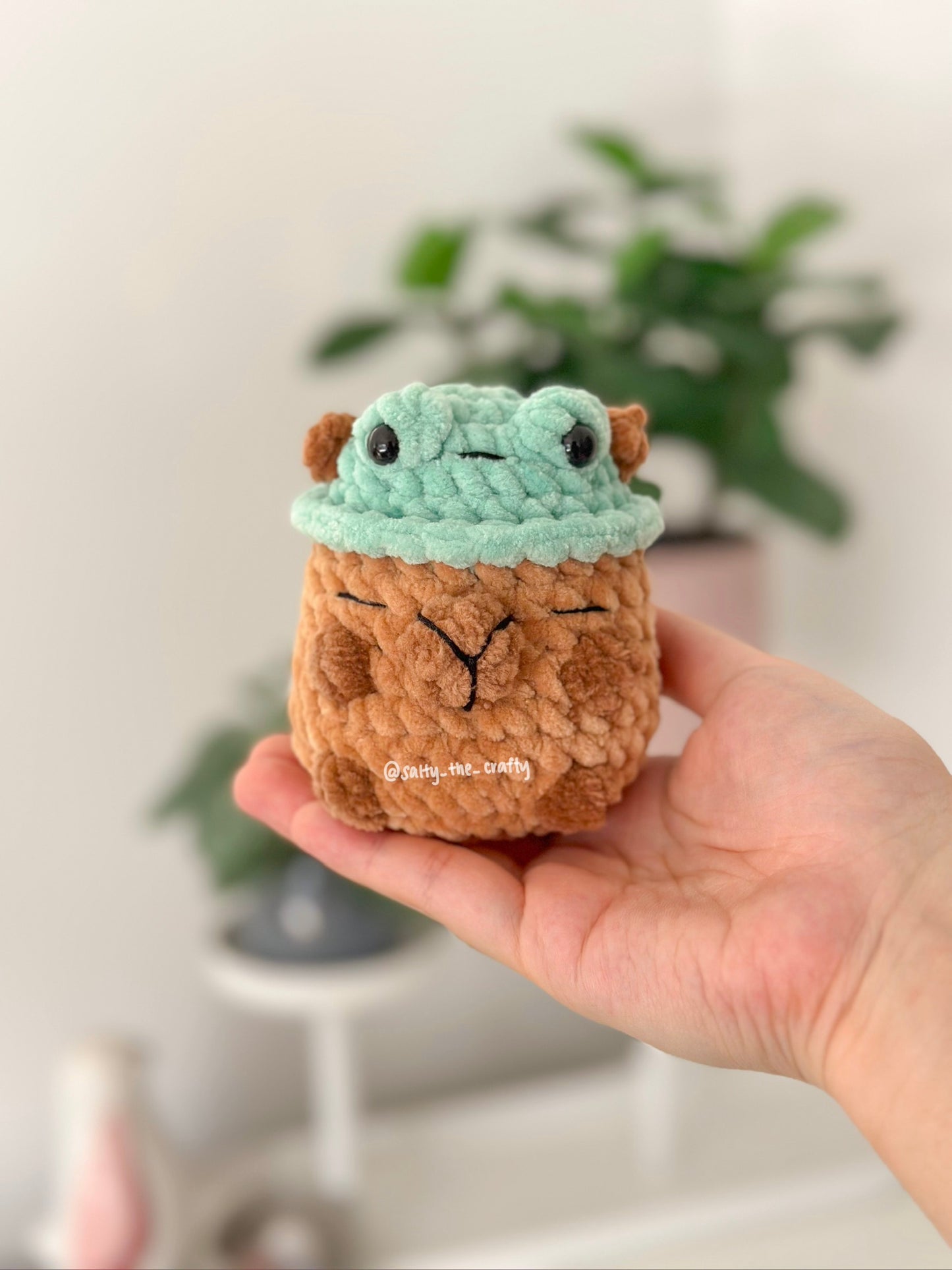 sitting capybara (duck hat)