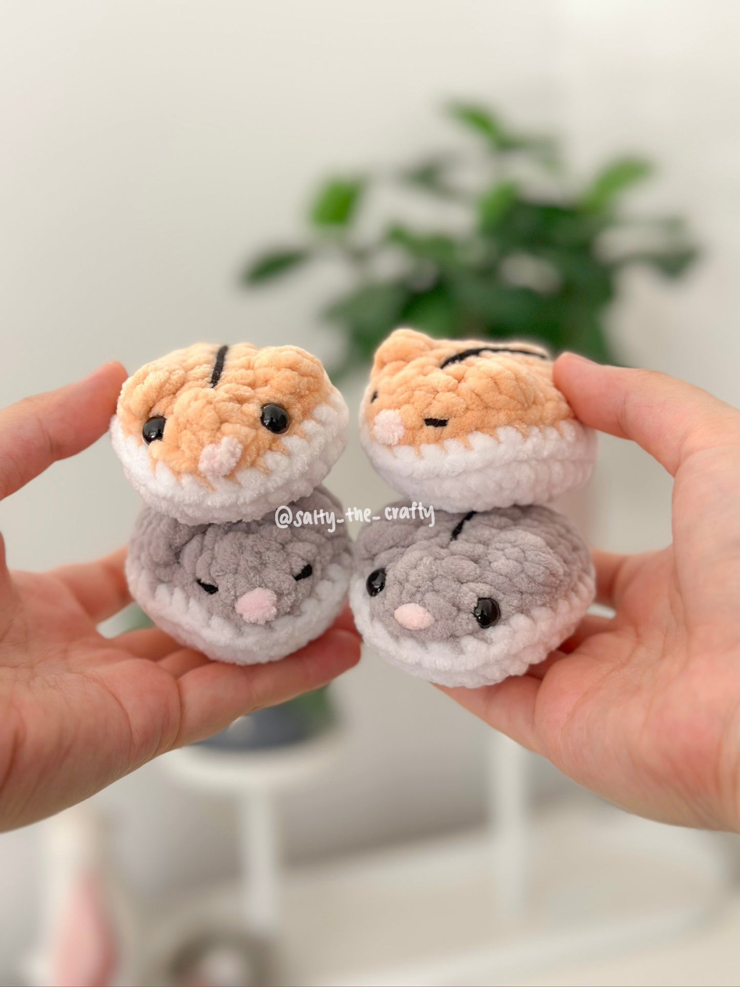 pancake hamster