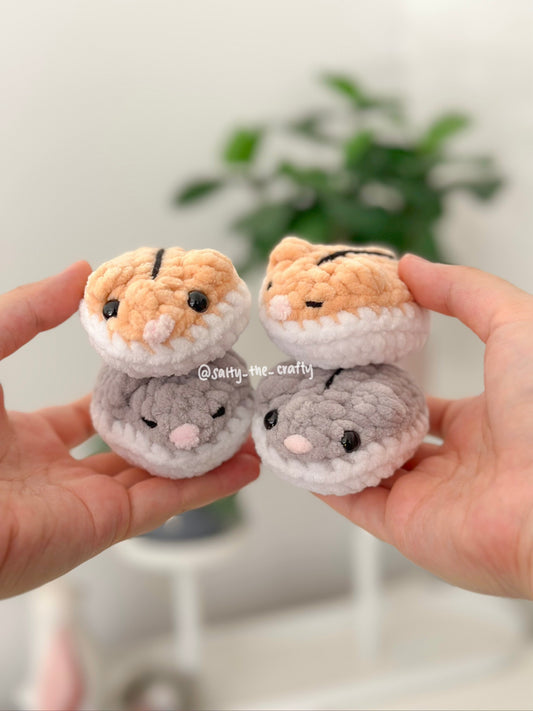 pancake hamster