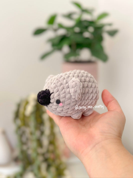 koala floofball