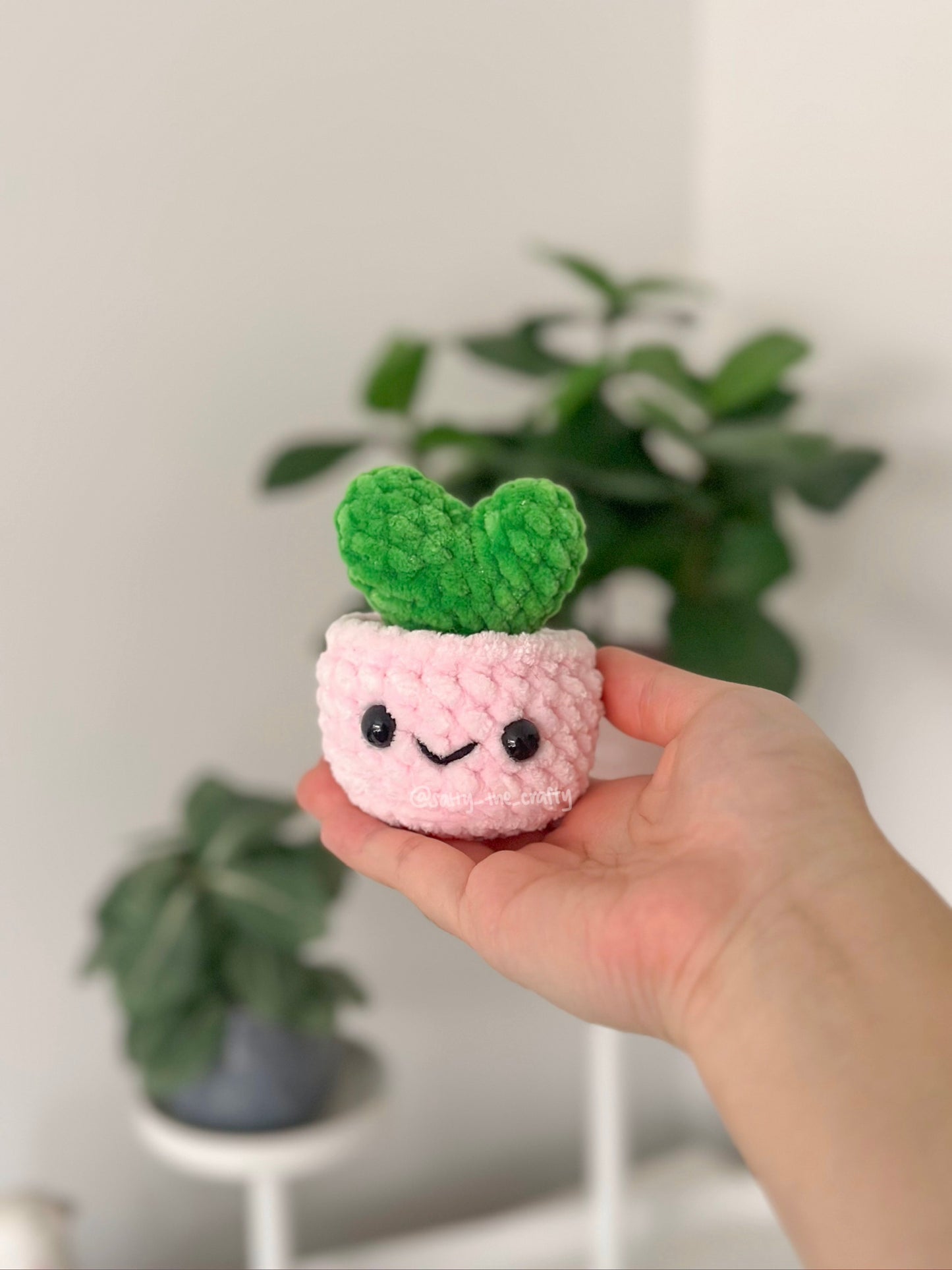 heart popping plant