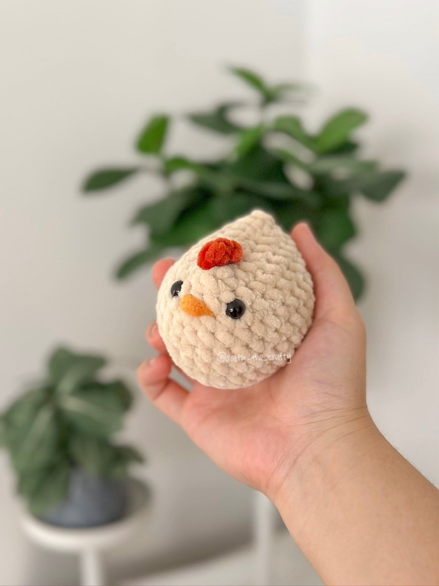 mabel chicken