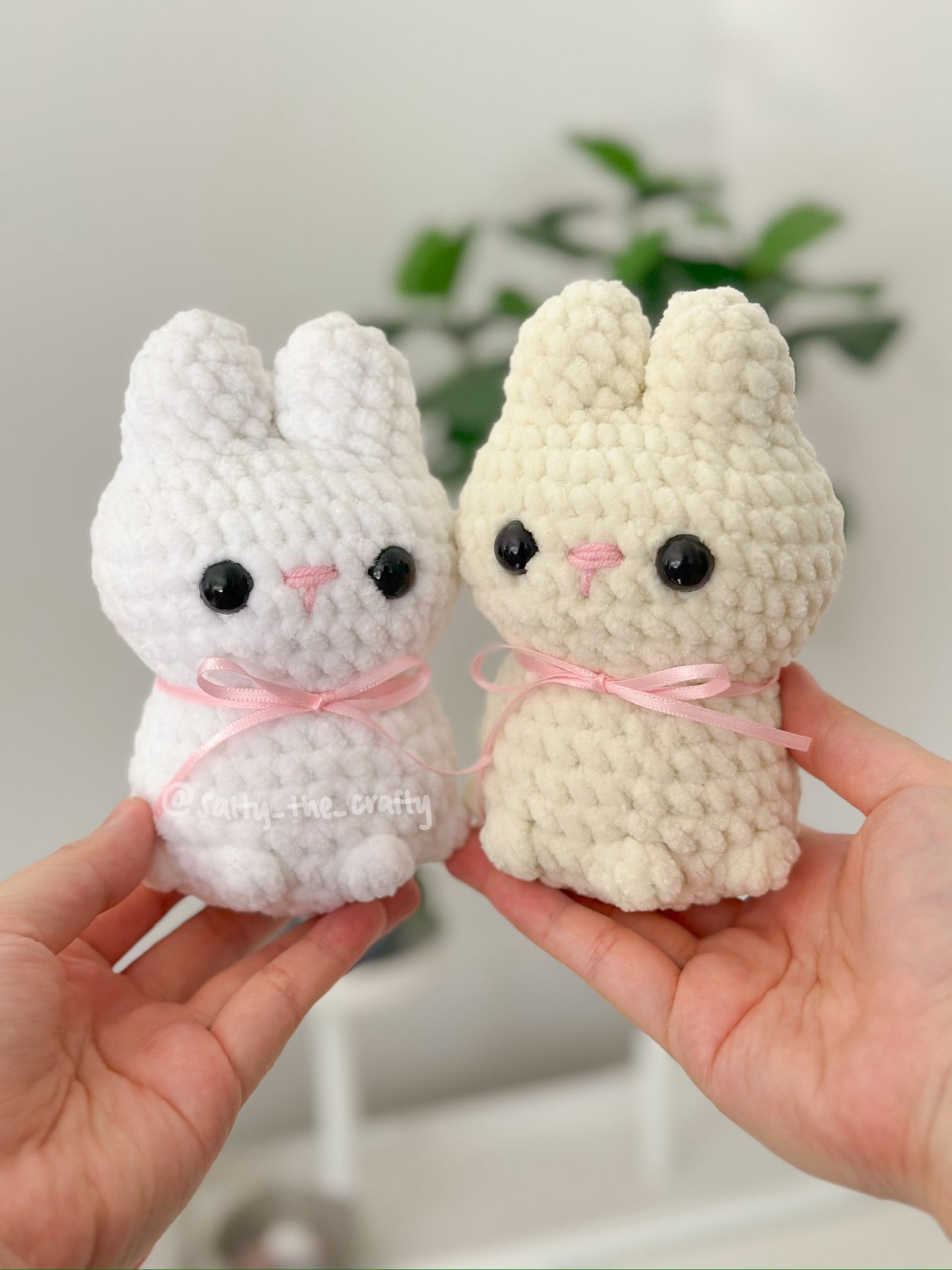 sitting bunny
